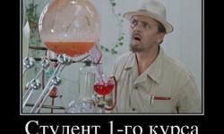 Студент 1-го курса