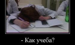 Как учеба?