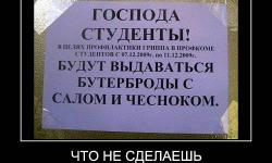Что не сделаешь