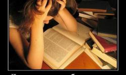 До экзамена