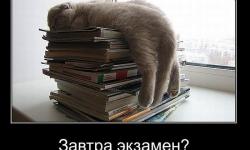 Завтра экзамен?